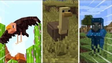 Minecraft oyununda yeni güncellemeler neler getirecek?