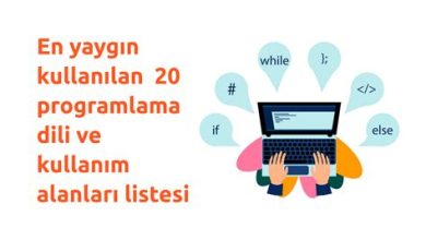 Popüler Programleme Dilleri ve Gelecekleri